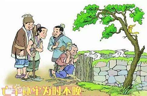 亡羊补牢打一正确生肖,警惕虚假宣传,定量解答解释落实