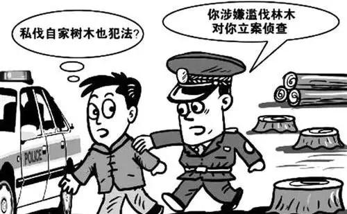 田字出头讲才气，独木成船双木林打一个正确生肖警惕虚假宣传、全面解答与解释、统计解答解释落实