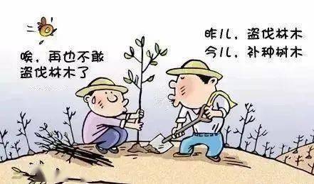 田字出头讲才气，独木成船双木林打一个正确生肖警惕虚假宣传、全面解答与解释、统计解答解释落实